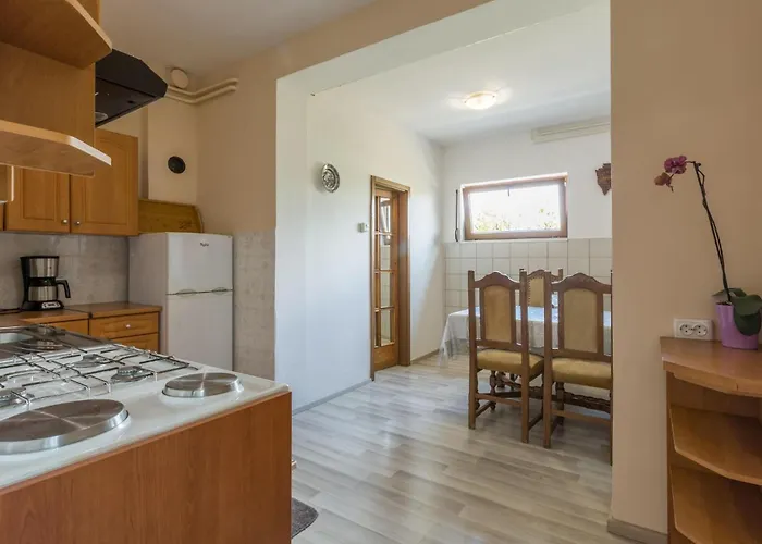 Apartment Svetvincenat Uv-1911